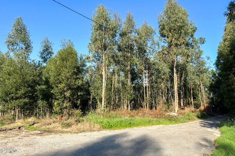 Helårsgrund i Espinho, Aveiro, Espinho - € 48.000 | Ref: AV2477 - foto 1