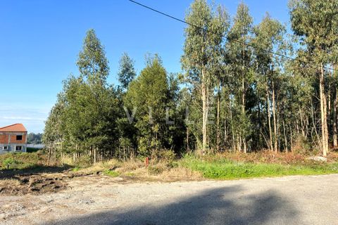 Helårsgrund i Espinho, Aveiro, Espinho - € 48.000 | Ref: AV2477 - foto 2