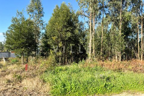 Helårsgrund i Espinho, Aveiro, Espinho - € 48.000 | Ref: AV2477 - foto 3