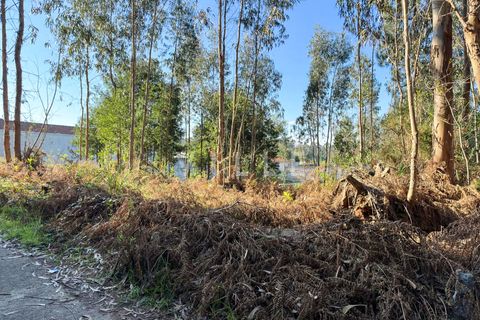 Helårsgrund i Espinho, Aveiro, Espinho - € 48.000 | Ref: AV2477 - foto 4