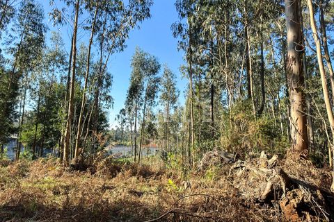Helårsgrund i Espinho, Aveiro, Espinho - € 48.000 | Ref: AV2477 - foto 5