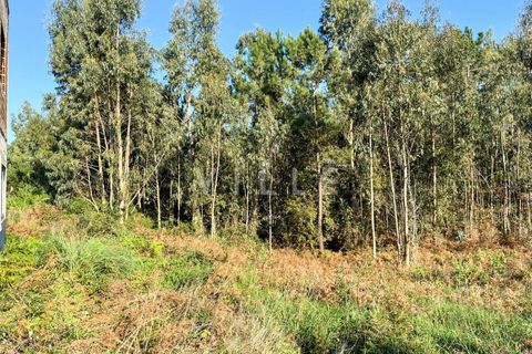 Helårsgrund i Espinho, Aveiro, Espinho - € 48.000 | Ref: AV2477 - foto 9
