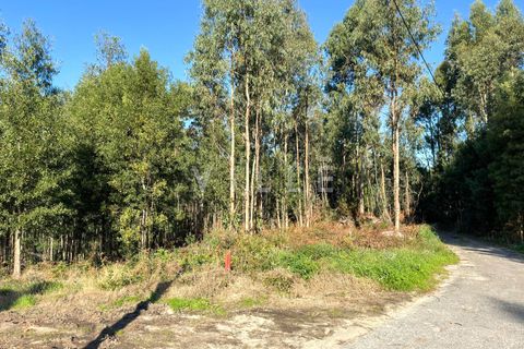 Helårsgrund i Espinho, Aveiro, Espinho - € 48.000 | Ref: AV2477 - foto 10
