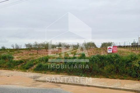 Helårsgrund i Alpiarca, Santarem, Alpiarca - € 260.000 | Ref: 11759 - foto 2