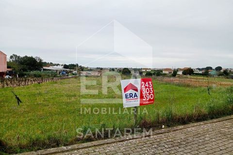 Helårsgrund i Alpiarca, Santarem, Alpiarca - € 260.000 | Ref: 11759 - foto 1