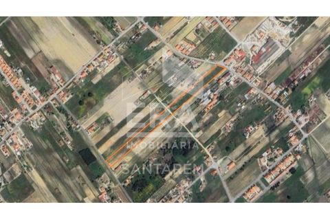 Helårsgrund i Alpiarca, Santarem, Alpiarca - € 260.000 | Ref: 11759 - foto 3