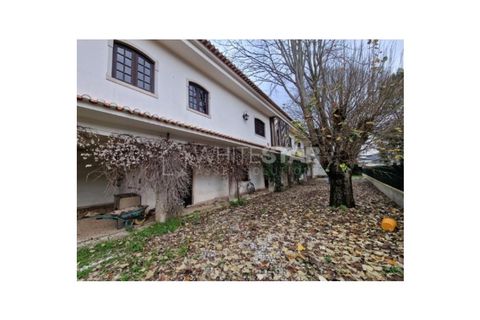 Villa en Minde, Santarem, Minde - € 375.000 | Ref: PTG-W-166 - photo 2