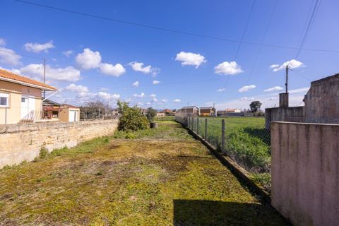 Helårsgrund i Murtosa, Aveiro, Murtosa - € 30.000 | Ref: TER_2298 - foto 1