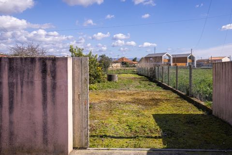 Helårsgrund i Murtosa, Aveiro, Murtosa - € 30.000 | Ref: TER_2298 - foto 2