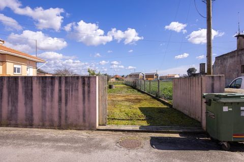 Helårsgrund i Murtosa, Aveiro, Murtosa - € 30.000 | Ref: TER_2298 - foto 3