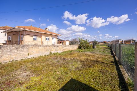 Helårsgrund i Murtosa, Aveiro, Murtosa - € 30.000 | Ref: TER_2298 - foto 5