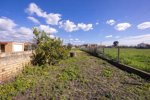 Helårsgrund i Murtosa, Aveiro, Murtosa - € 30.000 | Ref: TER_2298 - foto 6