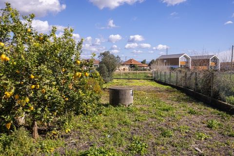 Helårsgrund i Murtosa, Aveiro, Murtosa - € 30.000 | Ref: TER_2298 - foto 7