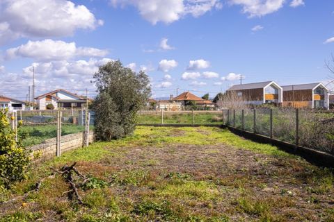 Helårsgrund i Murtosa, Aveiro, Murtosa - € 30.000 | Ref: TER_2298 - foto 8