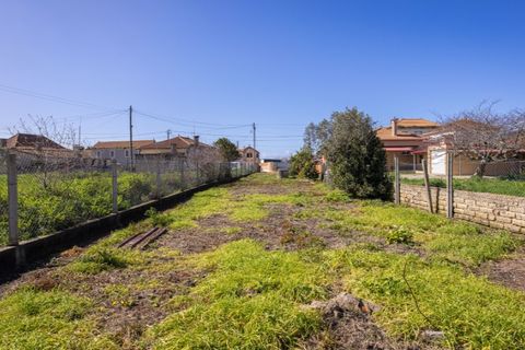 Helårsgrund i Murtosa, Aveiro, Murtosa - € 30.000 | Ref: TER_2298 - foto 10
