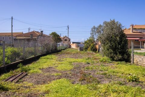 Helårsgrund i Murtosa, Aveiro, Murtosa - € 30.000 | Ref: TER_2298 - foto 11
