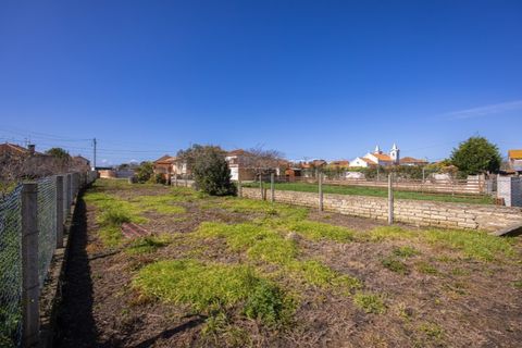 Helårsgrund i Murtosa, Aveiro, Murtosa - € 30.000 | Ref: TER_2298 - foto 12