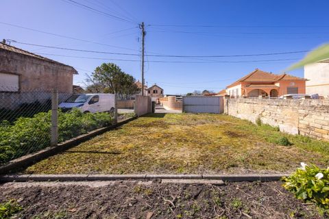 Helårsgrund i Murtosa, Aveiro, Murtosa - € 30.000 | Ref: TER_2298 - foto 13