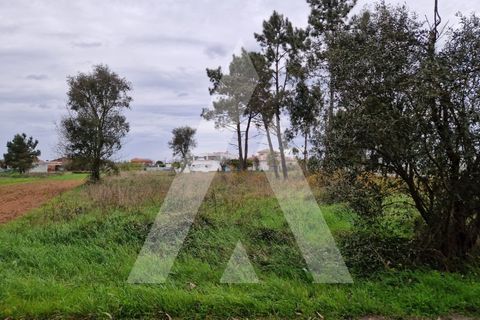 Helårsgrund i Arouca, Aveiro, Arouca - € 48.000 | Ref: 1021139/25 FR - foto 1