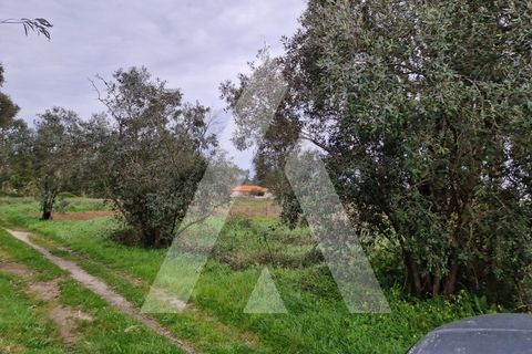 Helårsgrund i Arouca, Aveiro, Arouca - € 48.000 | Ref: 1021139/25 FR - foto 2