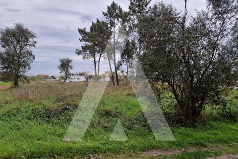 Helårsgrund i Arouca, Aveiro, Arouca - € 48.000 | Ref: 1021139/25 FR - foto 3
