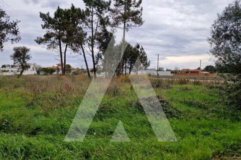 Helårsgrund i Arouca, Aveiro, Arouca - € 48.000 | Ref: 1021139/25 FR - foto 4