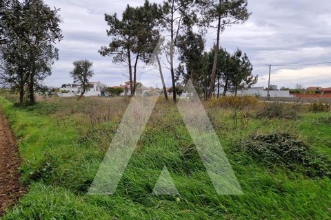 Helårsgrund i Arouca, Aveiro, Arouca - € 48.000 | Ref: 1021139/25 FR - foto 5