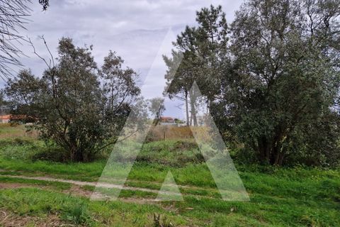 Helårsgrund i Arouca, Aveiro, Arouca - € 48.000 | Ref: 1021139/25 FR - foto 8