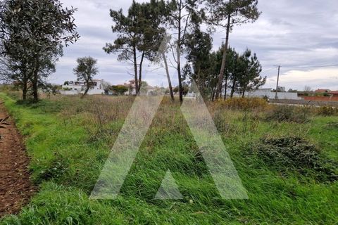 Helårsgrund i Arouca, Aveiro, Arouca - € 48.000 | Ref: 1021139/25 FR - foto 9