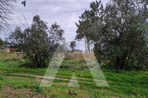Helårsgrund i Arouca, Aveiro, Arouca - € 48.000 | Ref: 1021139/25 FR - foto 10
