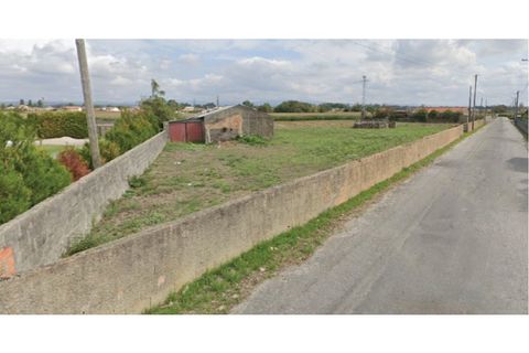 Helårsgrund i Estarreja, Aveiro, Estarreja - € 39.990 | Ref: TER_1986_ParcelaA - foto 1