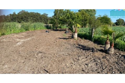 Helårsgrund i Murtosa, Aveiro, Murtosa - € 55.000 | Ref: TER_1985 - foto 2