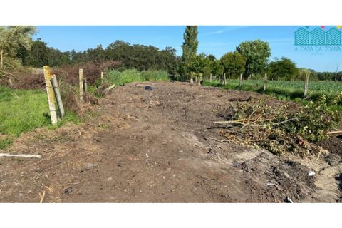 Helårsgrund i Murtosa, Aveiro, Murtosa - € 55.000 | Ref: TER_1985 - foto 4