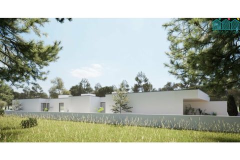 Helårsgrund i Murtosa, Aveiro, Murtosa - € 55.000 | Ref: TER_1985 - foto 11