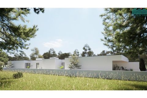 Helårsgrund i Murtosa, Aveiro, Murtosa - € 55.000 | Ref: TER_1985 - foto 12
