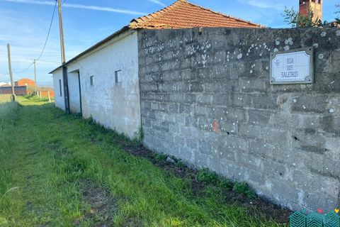 Granja a Ovar, Aveiro, Ovar - € 290.000 | Ref: MAS_1991 - foto 2