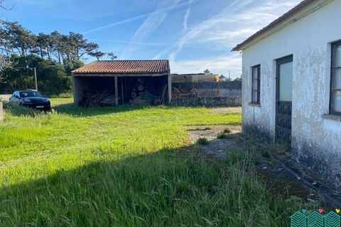 Granja a Ovar, Aveiro, Ovar - € 290.000 | Ref: MAS_1991 - foto 3