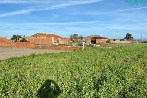 Granja a Ovar, Aveiro, Ovar - € 290.000 | Ref: MAS_1991 - foto 5