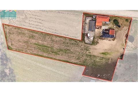 Granja a Ovar, Aveiro, Ovar - € 290.000 | Ref: MAS_1991 - foto 6