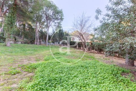 Terra a Chiva, Valencia, Chiva - € 200.000 | Ref: VV2503068 - foto 5