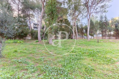 Terra a Chiva, Valencia, Chiva - € 200.000 | Ref: VV2503068 - foto 7