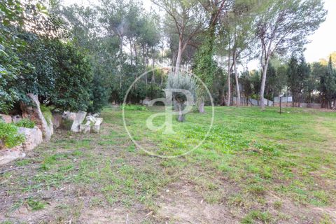 Terra a Chiva, Valencia, Chiva - € 200.000 | Ref: VV2503068 - foto 8
