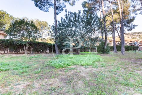 Terra a Chiva, Valencia, Chiva - € 200.000 | Ref: VV2503068 - foto 10