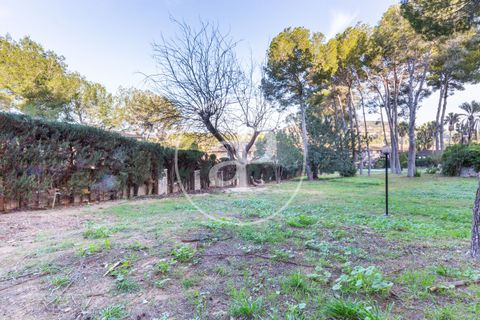 Terra a Chiva, Valencia, Chiva - € 200.000 | Ref: VV2503068 - foto 13