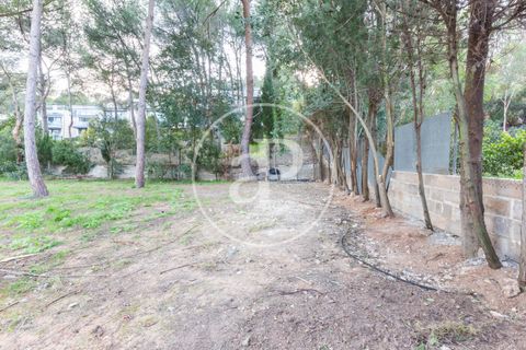 Terra a Chiva, Valencia, Chiva - € 200.000 | Ref: VV2503068 - foto 14