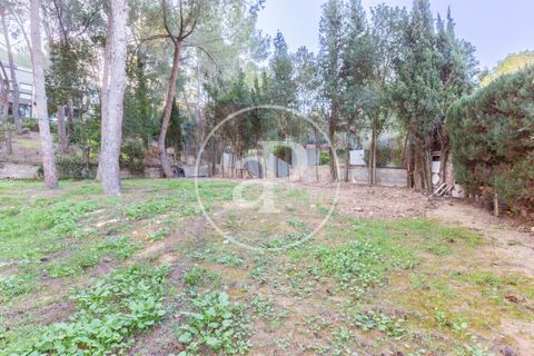 Terra a Chiva, Valencia, Chiva - € 200.000 | Ref: VV2503068 - foto 15