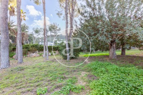 Terra a Chiva, Valencia, Chiva - € 200.000 | Ref: VV2503068 - foto 16