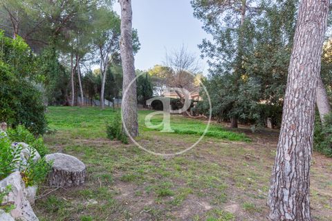Terra a Chiva, Valencia, Chiva - € 200.000 | Ref: VV2503068 - foto 18