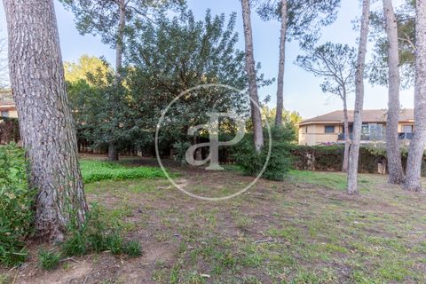 Terra a Chiva, Valencia, Chiva - € 200.000 | Ref: VV2503068 - foto 19