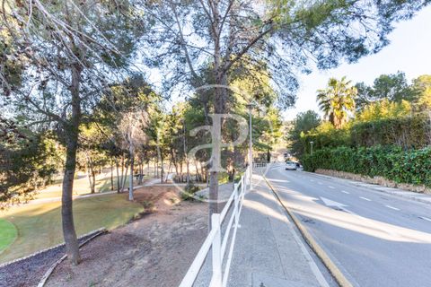 Terra a Chiva, Valencia, Chiva - € 200.000 | Ref: VV2503068 - foto 21